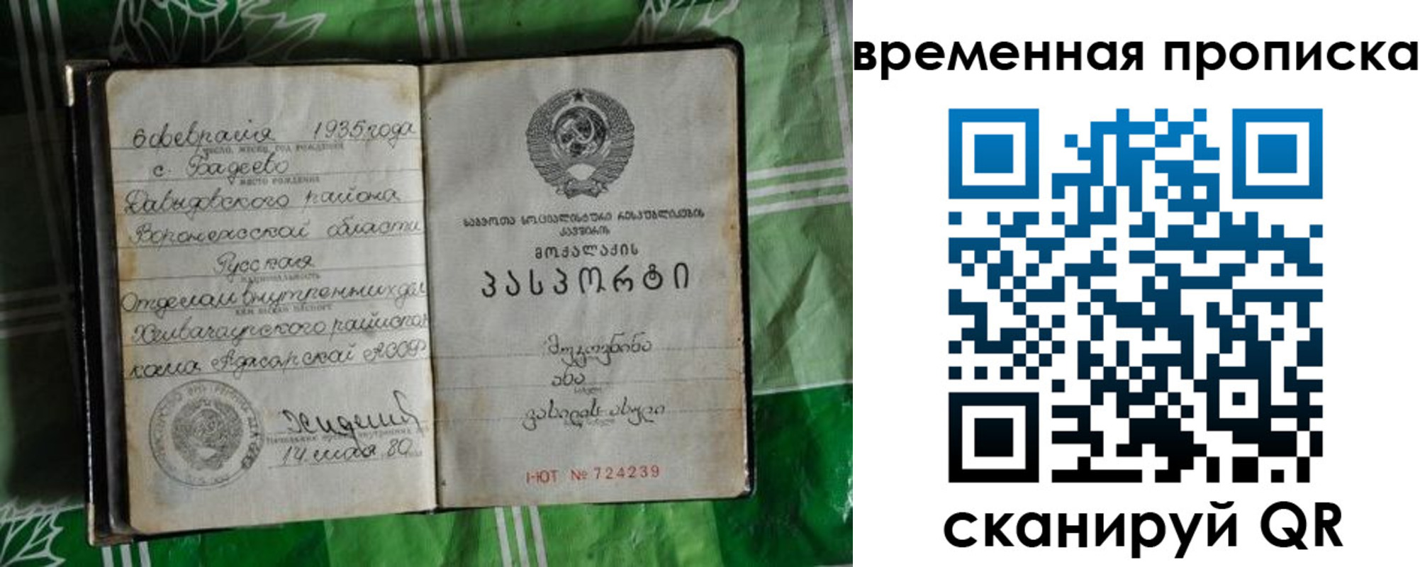 прописка в Светлогорске